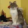 Отзыв от Кристина Панова